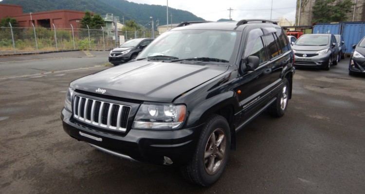 Дверь 5-ая (черный) Jeep Grand Cherokee WG-WJ, оригинальный номер производителя 55256177AD OEM Дверь 5-ая (черный)