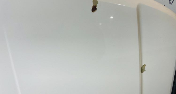 Капот передний белый Jeep Grand Cherokee WG-WJ, оригинальный номер производителя 53013312AB OEM Капот в сборе с утеплителем белый Jeep Grand Cherokee WG-WJ